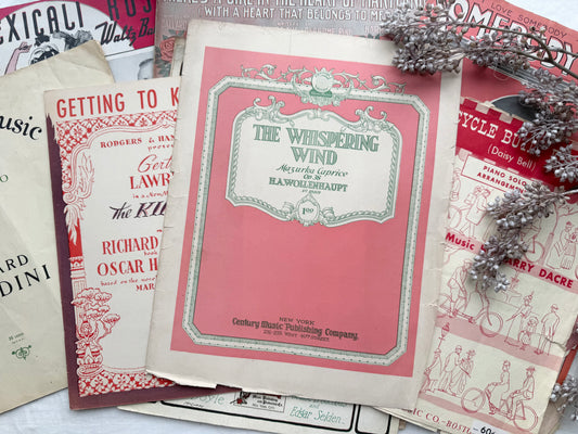 Vintage Music Set