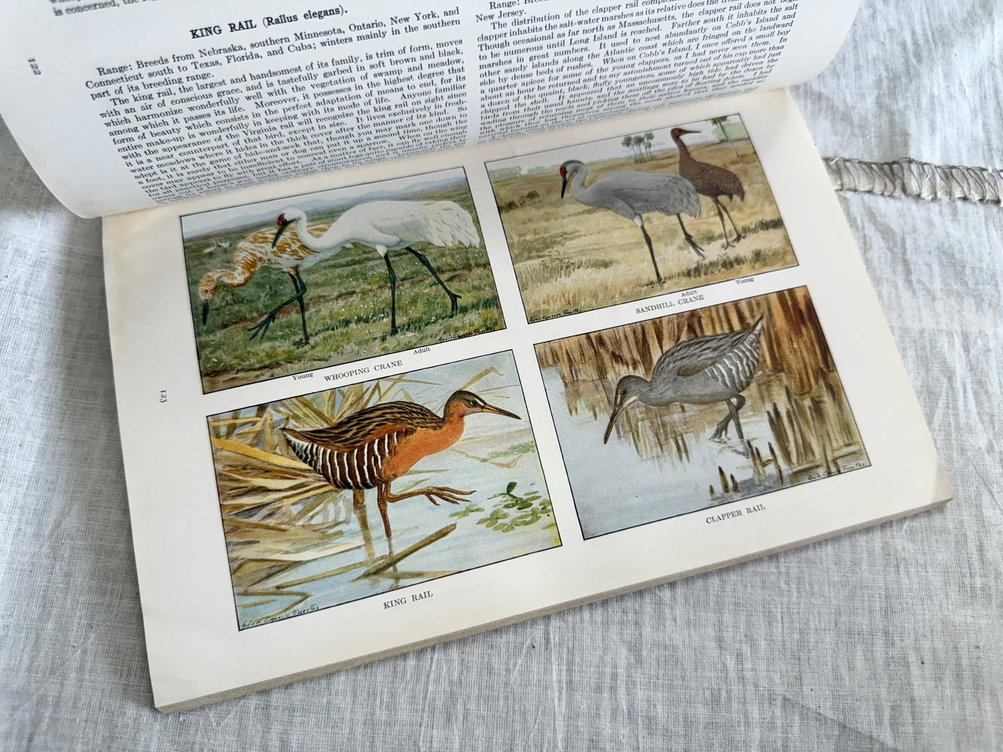 Aug 1915 National Geographic Magazine