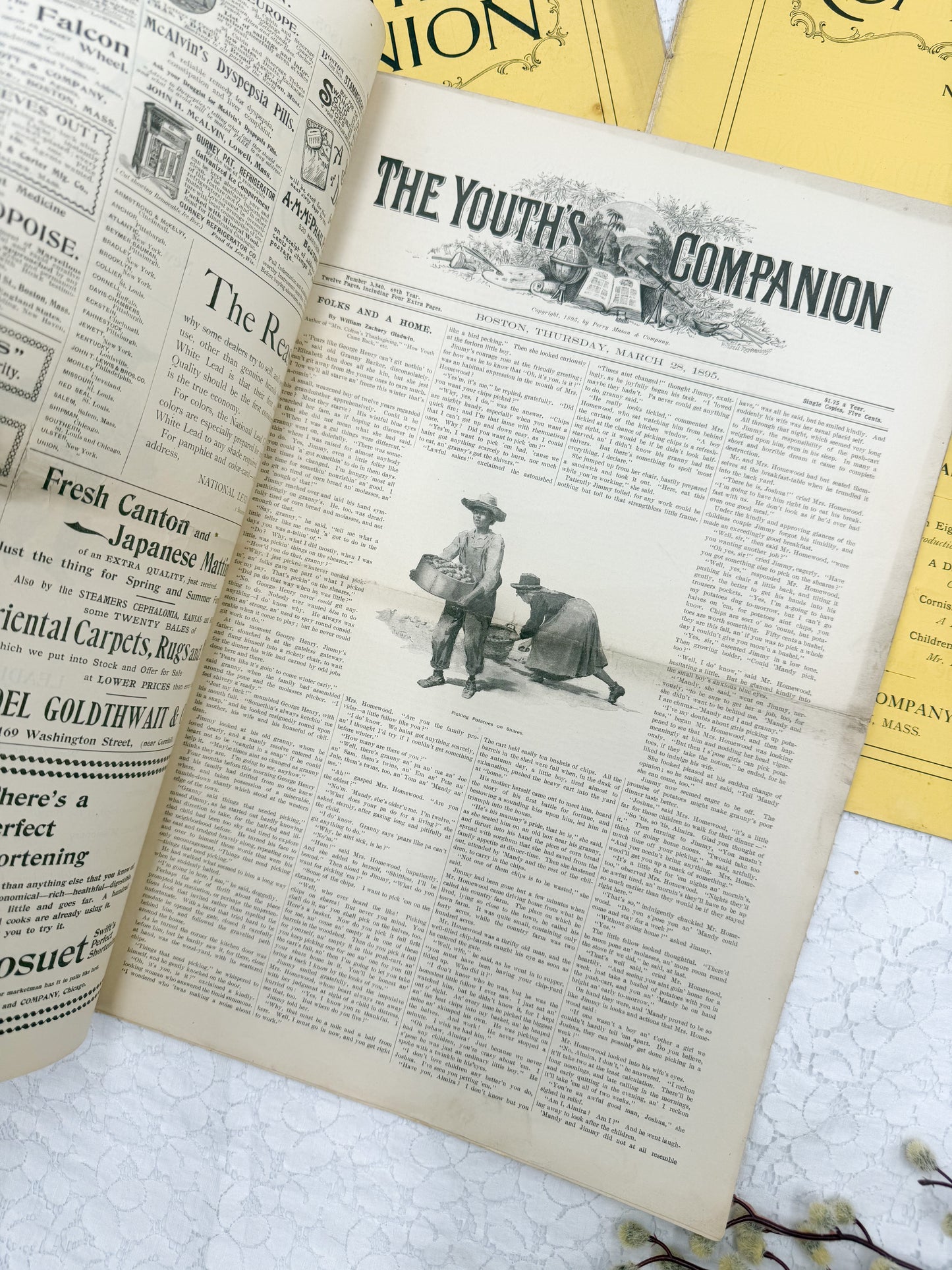 Youth Companion Set