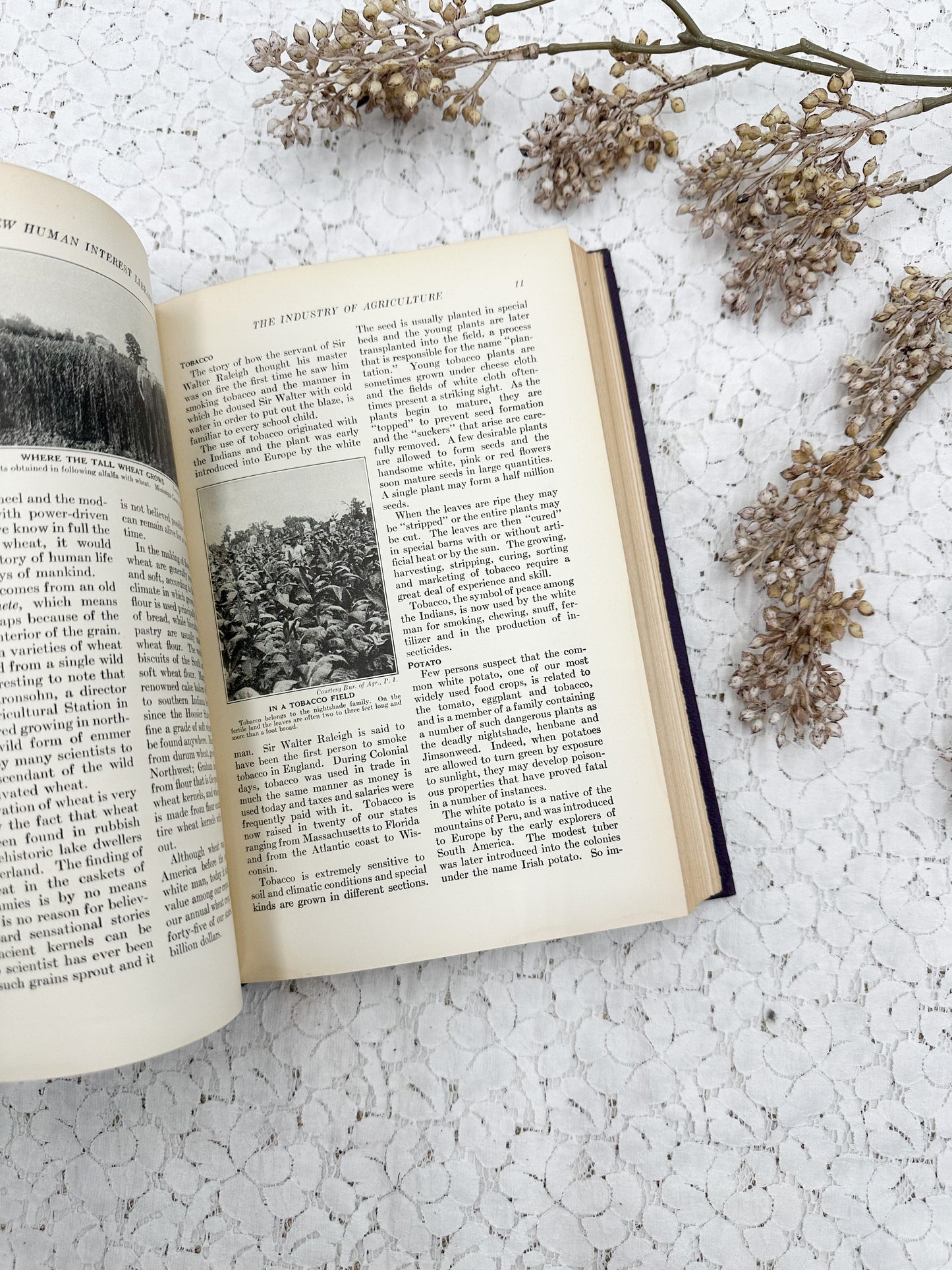 Illustrated New Human Interest Book
