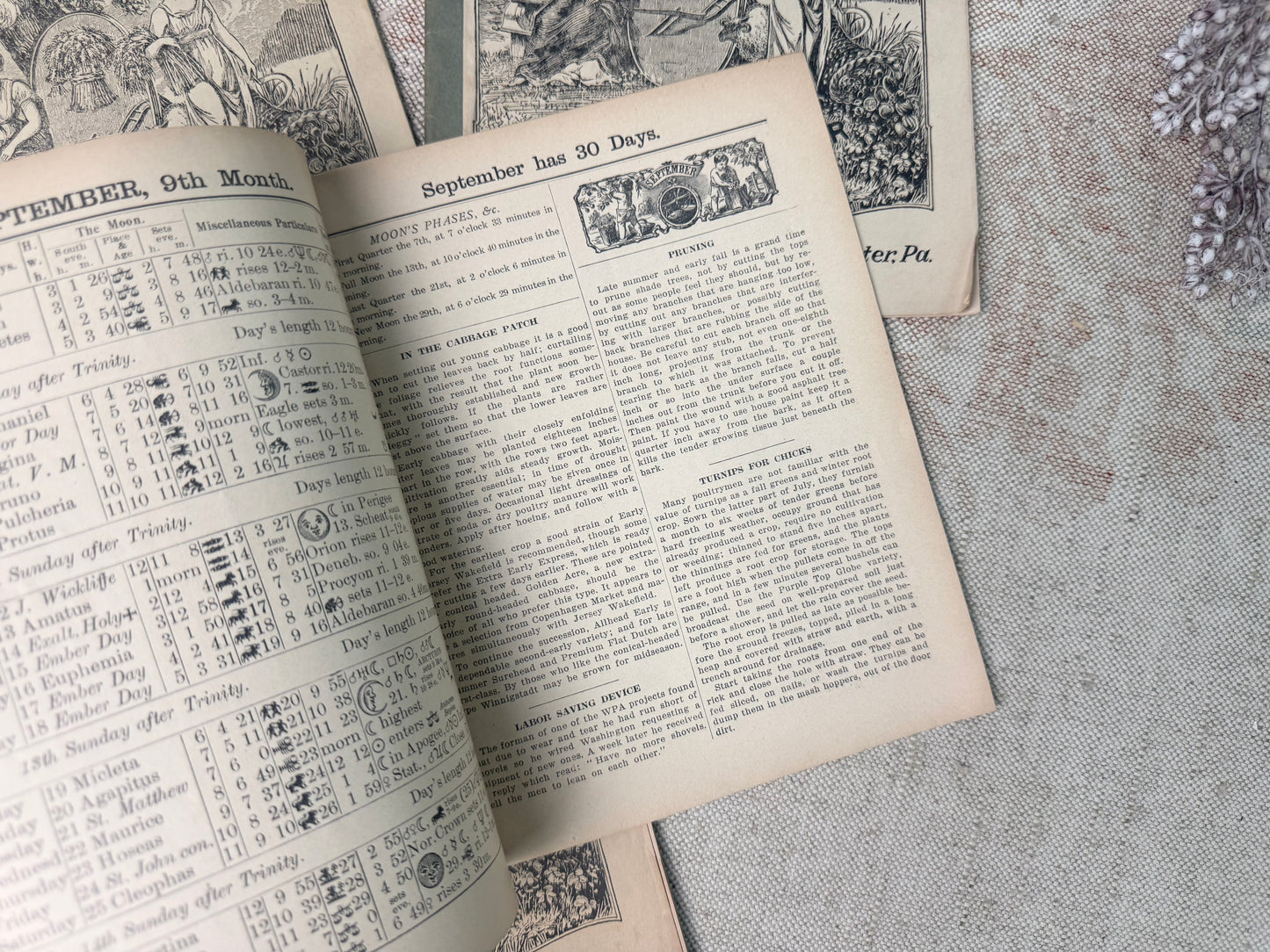 Vintage Almanac Set