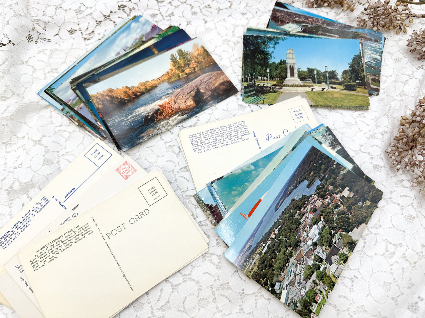 Postcards (Set of 20)