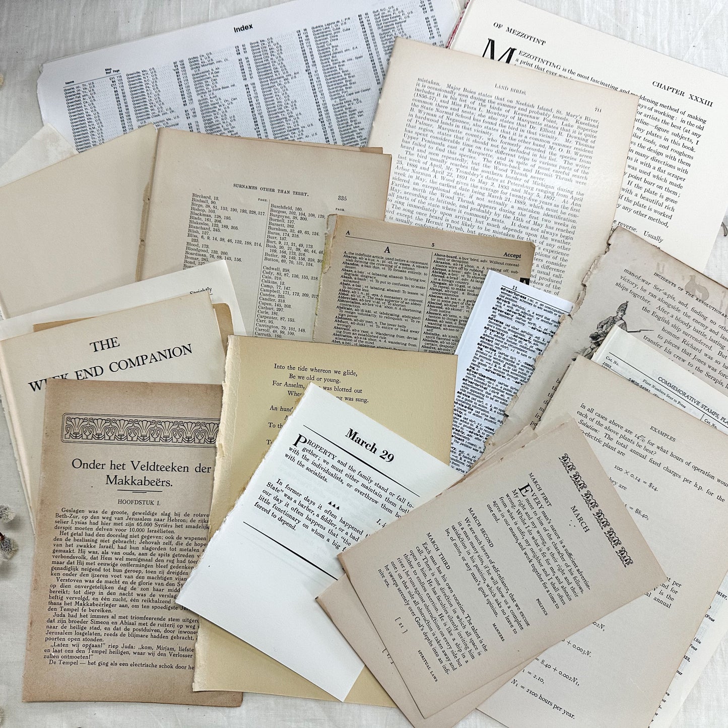 Assorted Vintage Book Pages