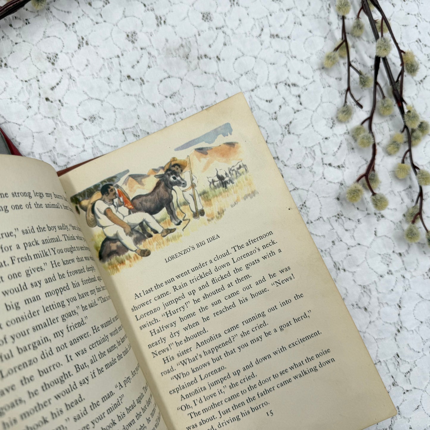 Vintage Book Set