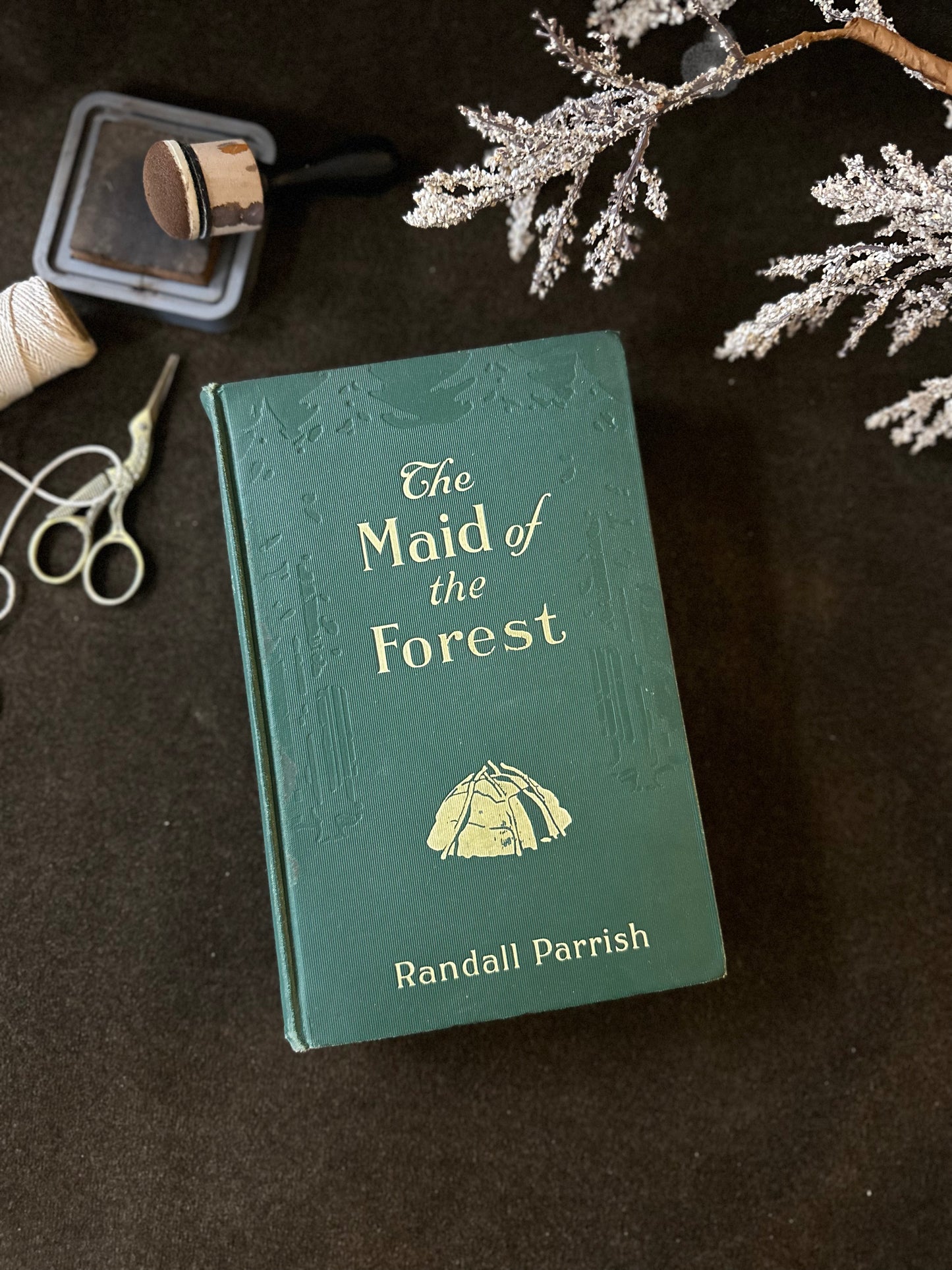 Beautiful Vintage Book