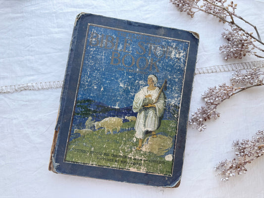 Vintage Bible Story Book