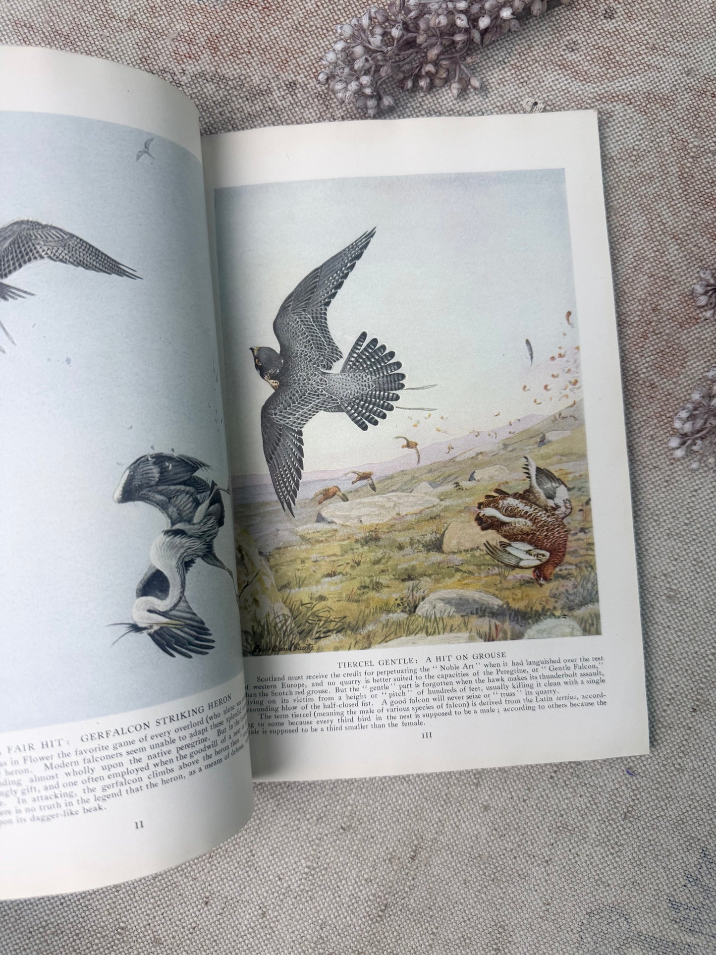 National Geographic Magazine