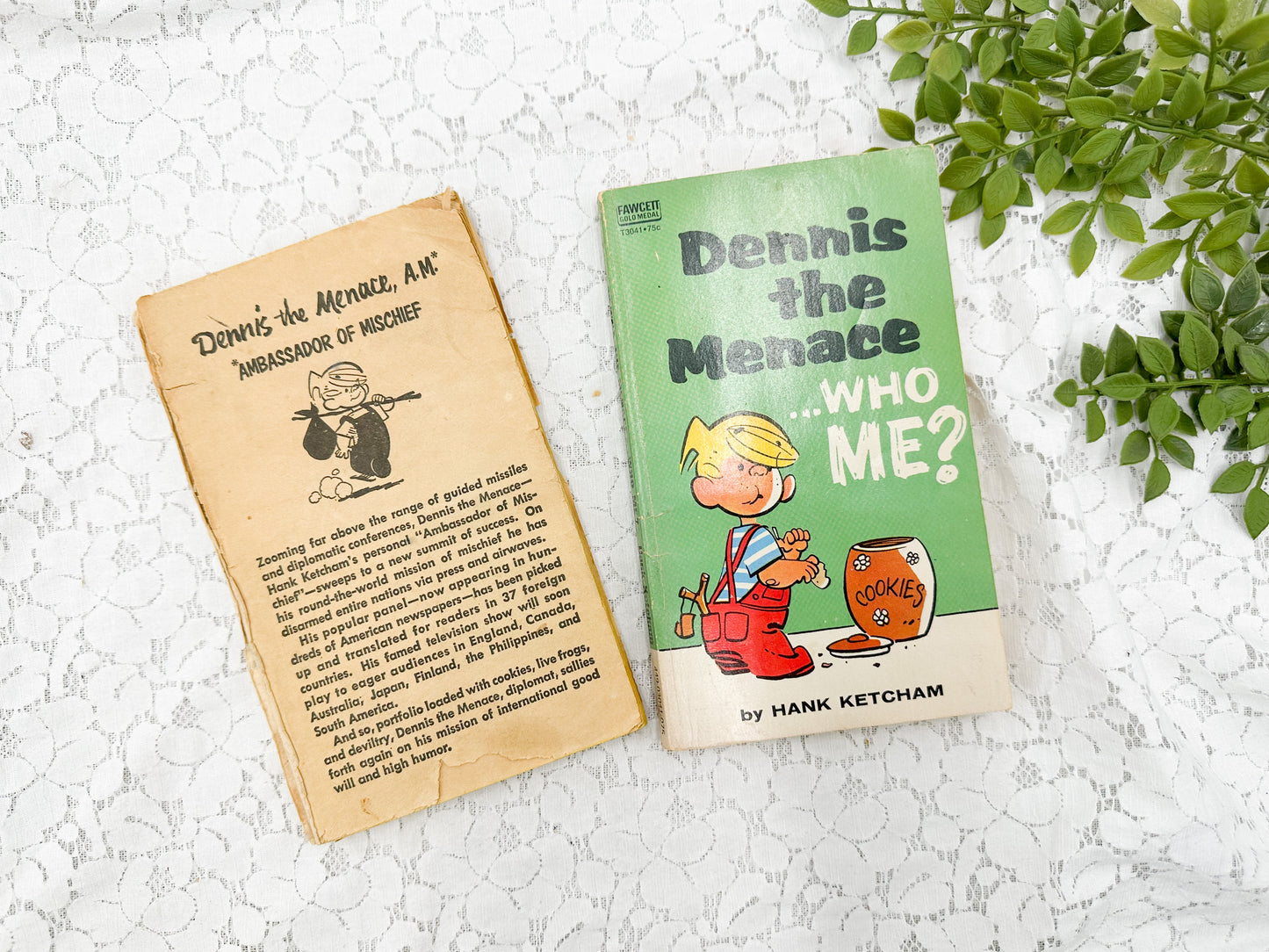 Dennis the Menace Set (Two Books)