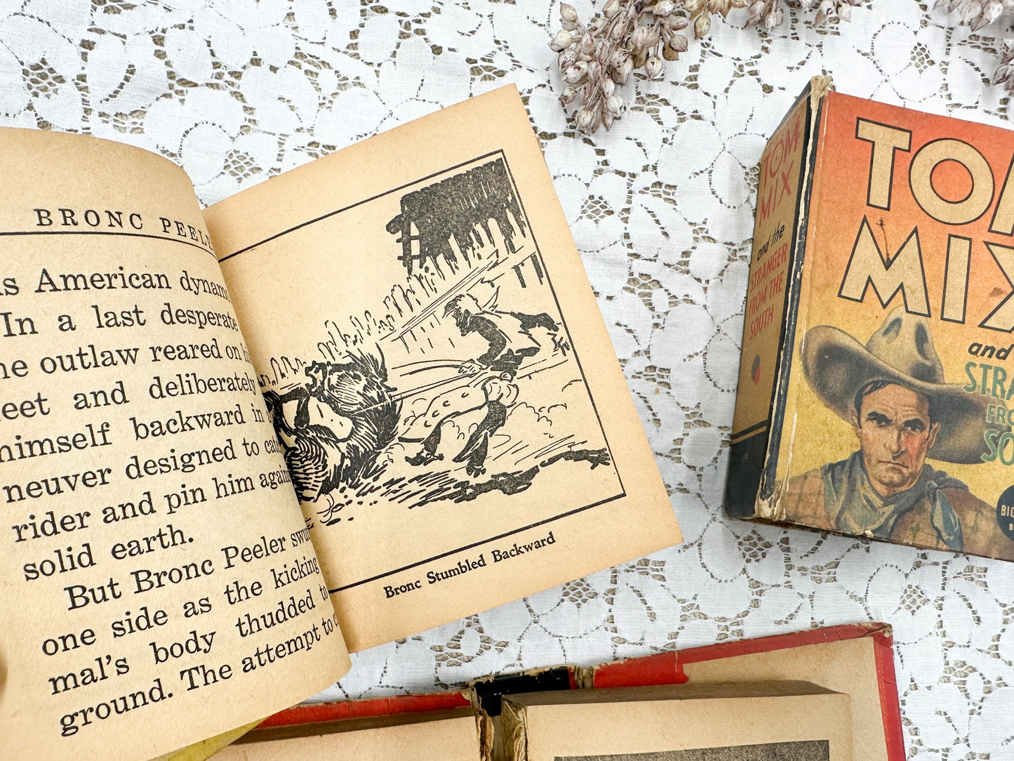 Set of Little Big Books