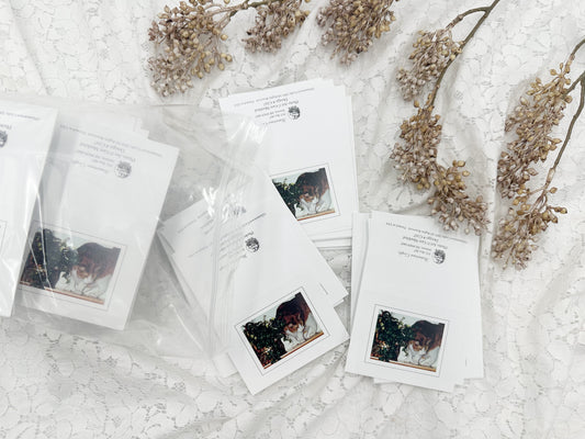 Cat Greeting Cards