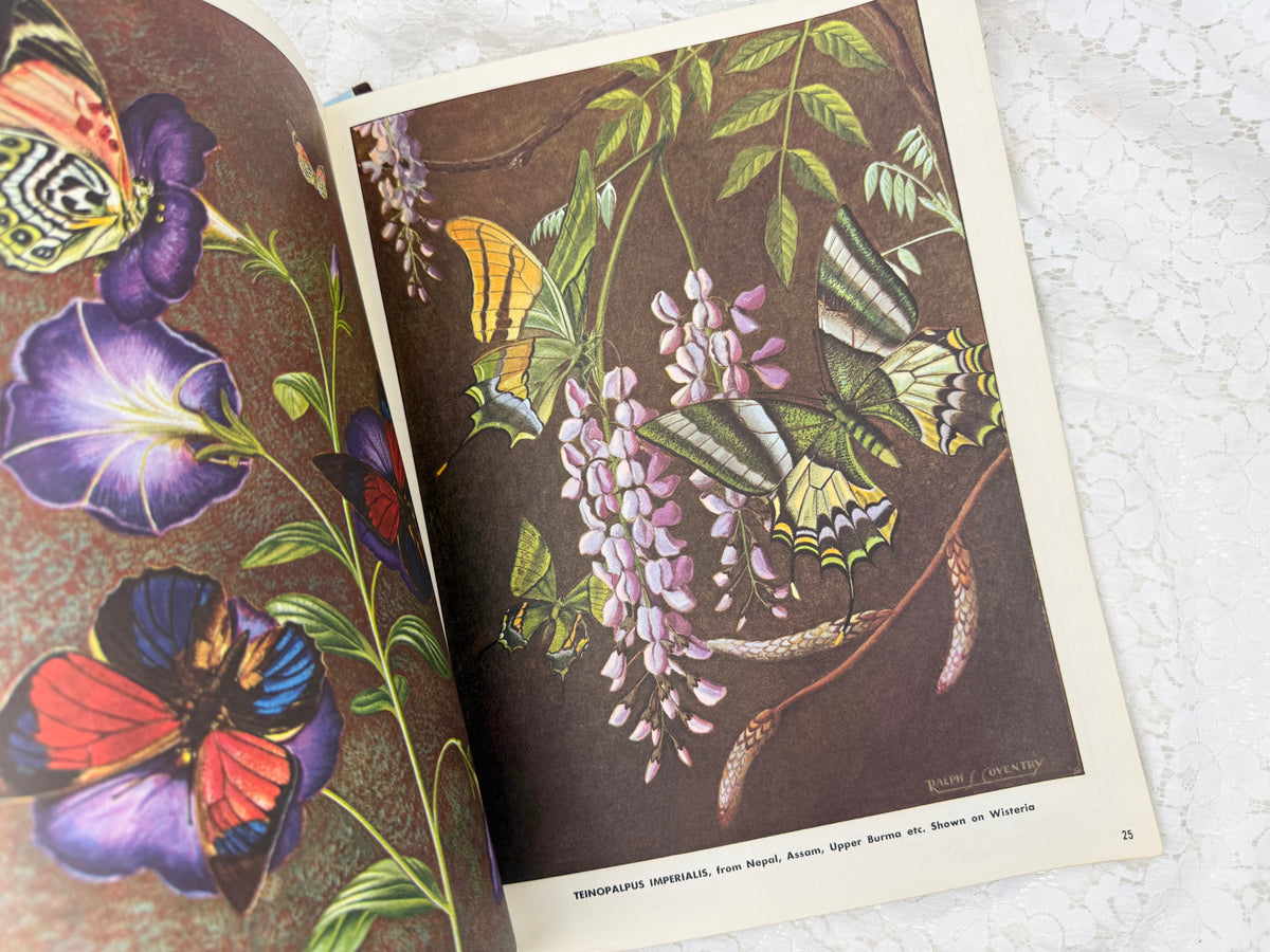 Vintage Art Book Set