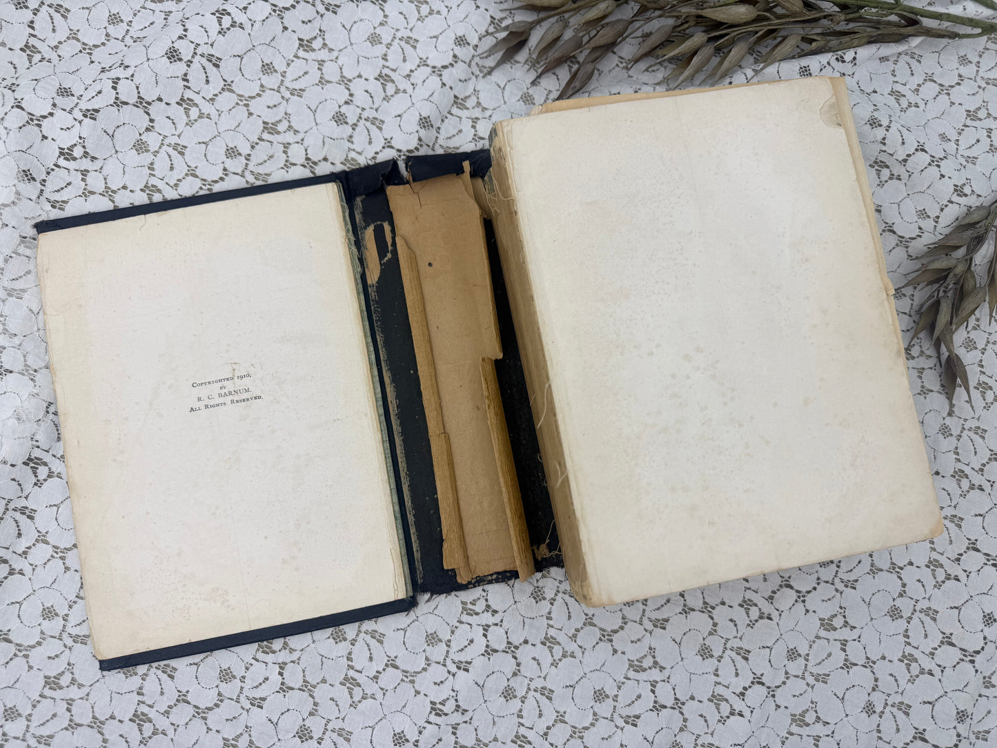 The Peoples Home Manual