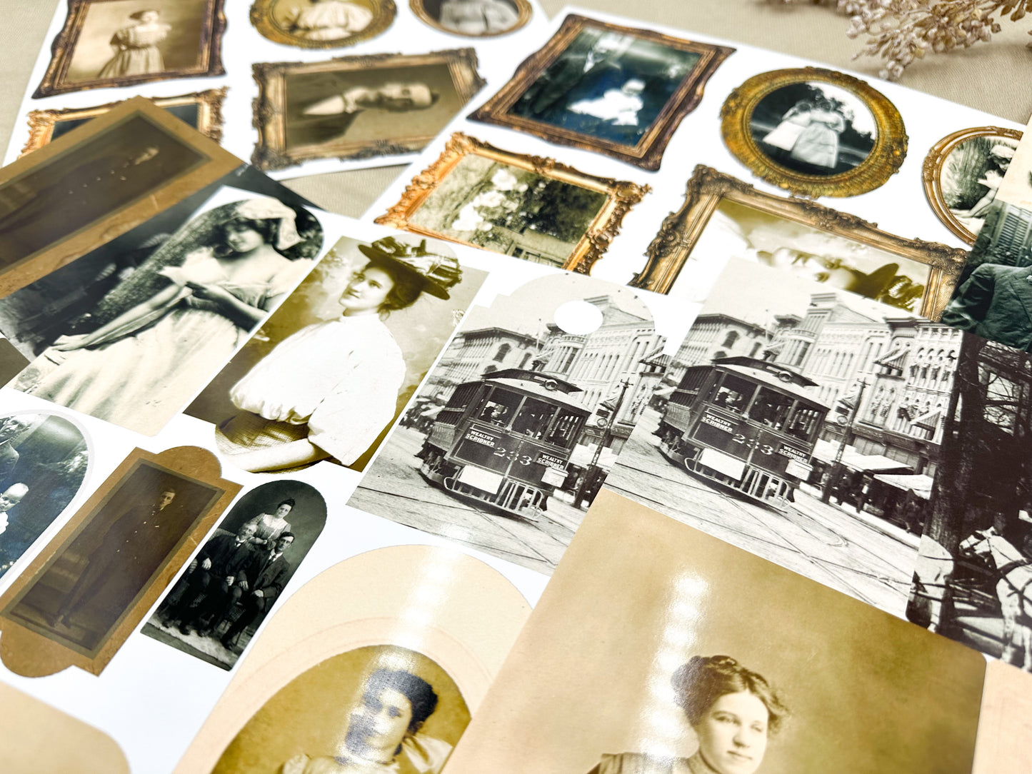 Vintage Photograph Paper Pack