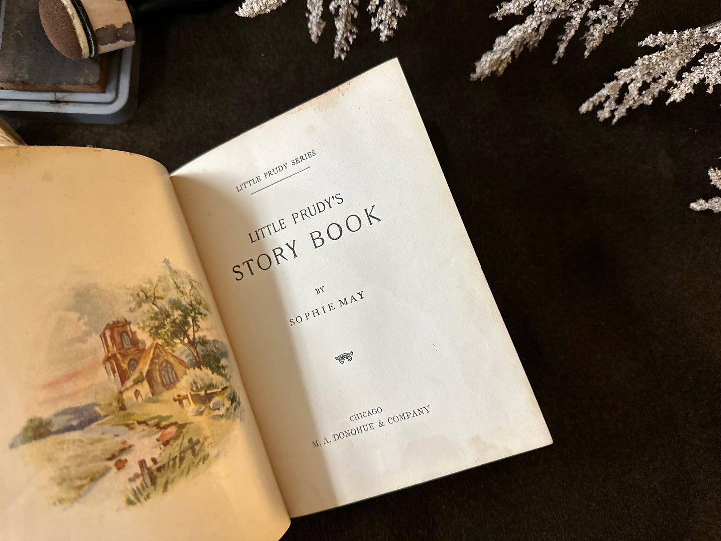 Beautiful Vintage Book