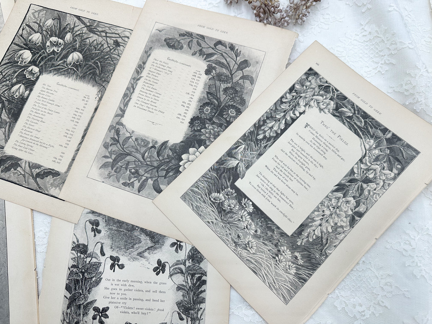 Vintage Floral Prints- Late 1800's