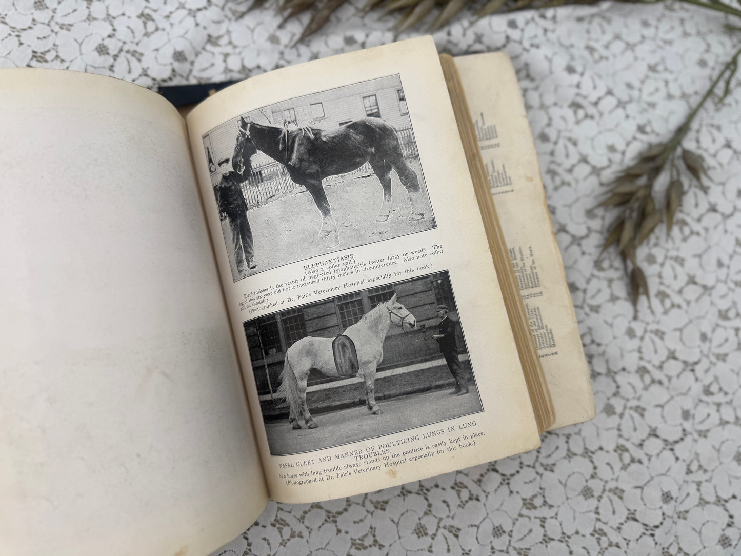 The Peoples Home Manual