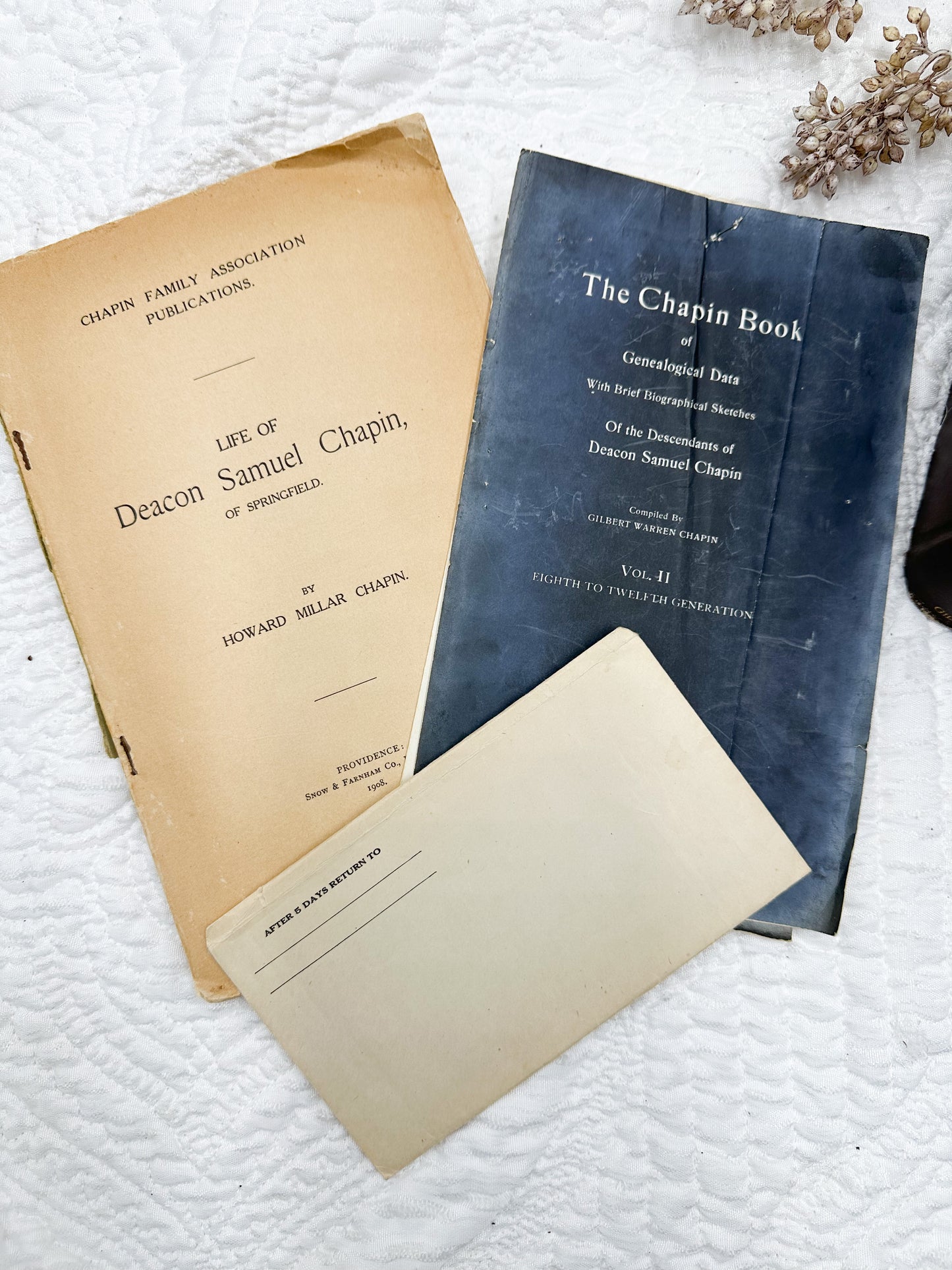 Vintage Genealogy