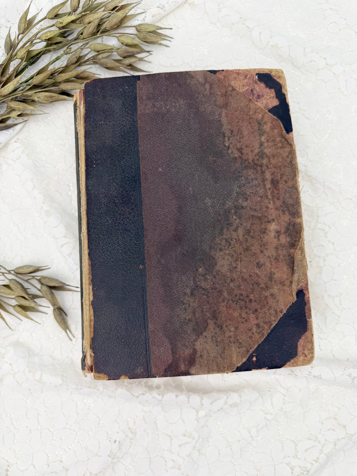 Vintage Health and Longevity Book