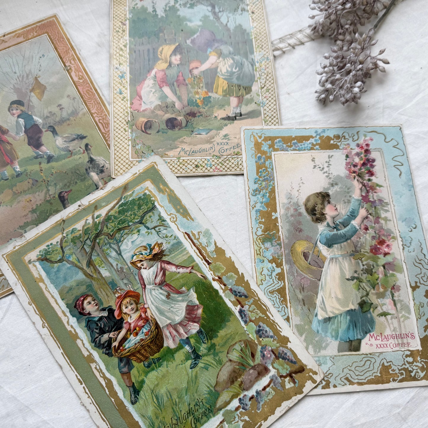 Trading Card (Set of 4)