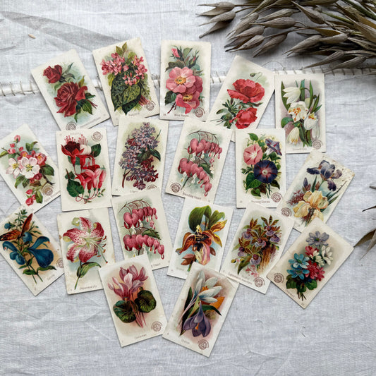 Vintage Floral Trading Card Set
