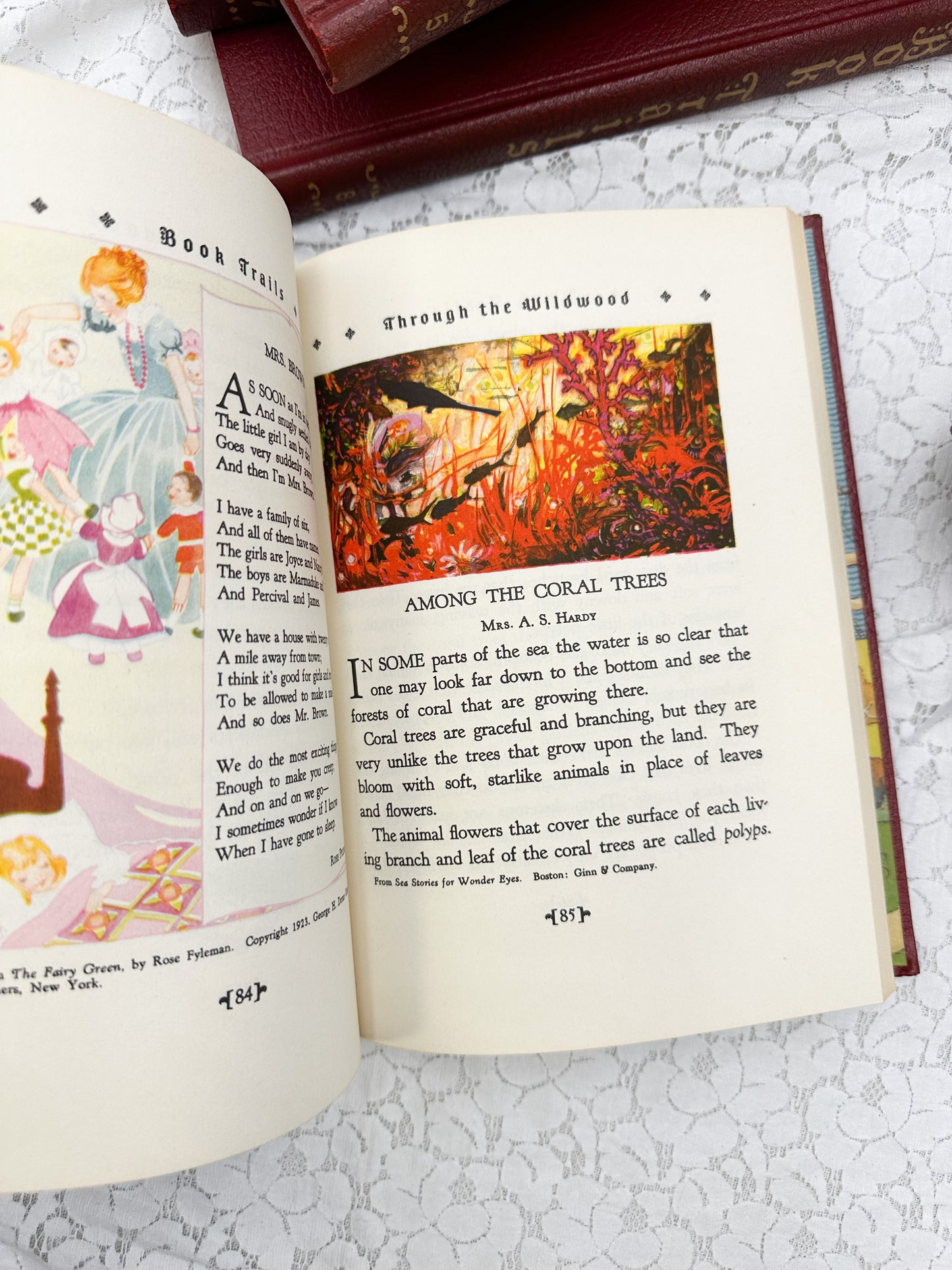 Book Trails Book (8 Available)