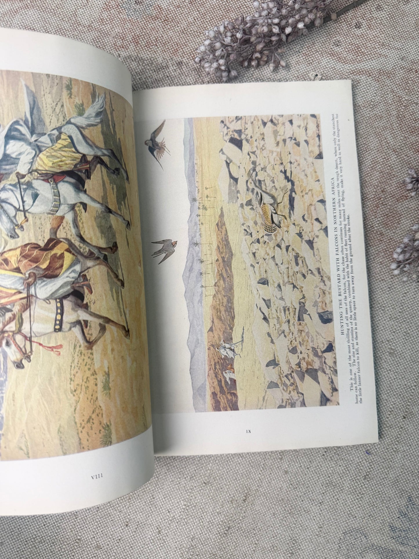 National Geographic Magazine