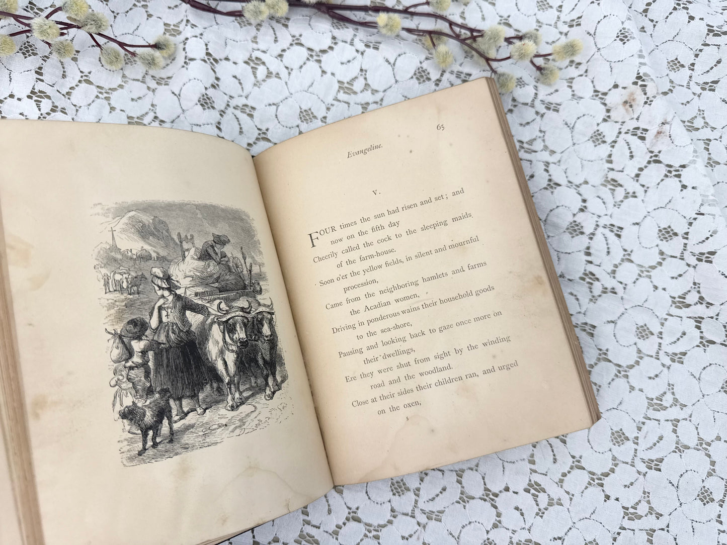 Illustrated Evangeline Book