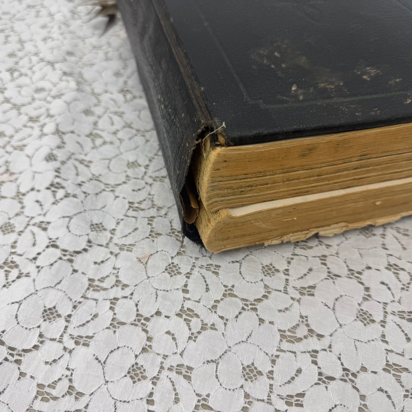 The Peoples Home Manual