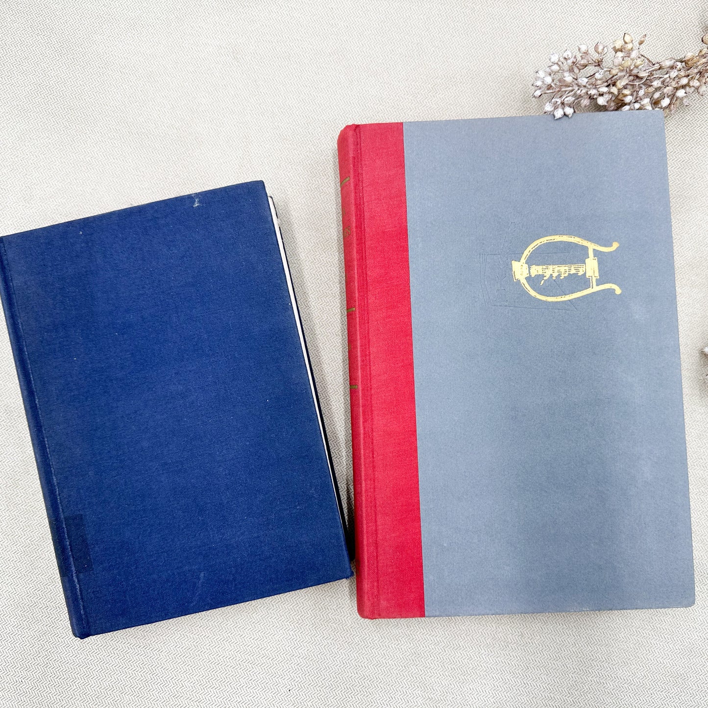 Set of Two Music Books