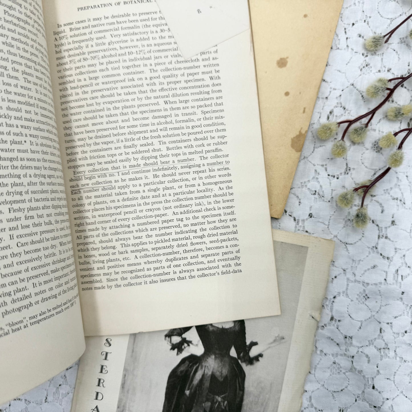 Botany Booklets