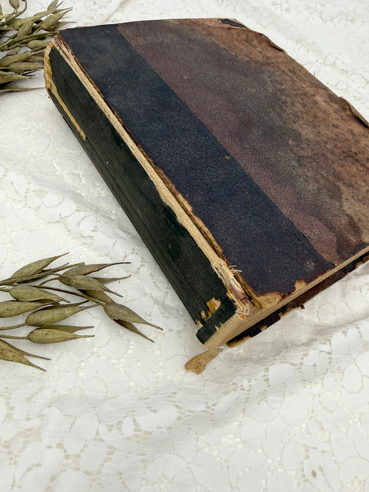 Vintage Health and Longevity Book