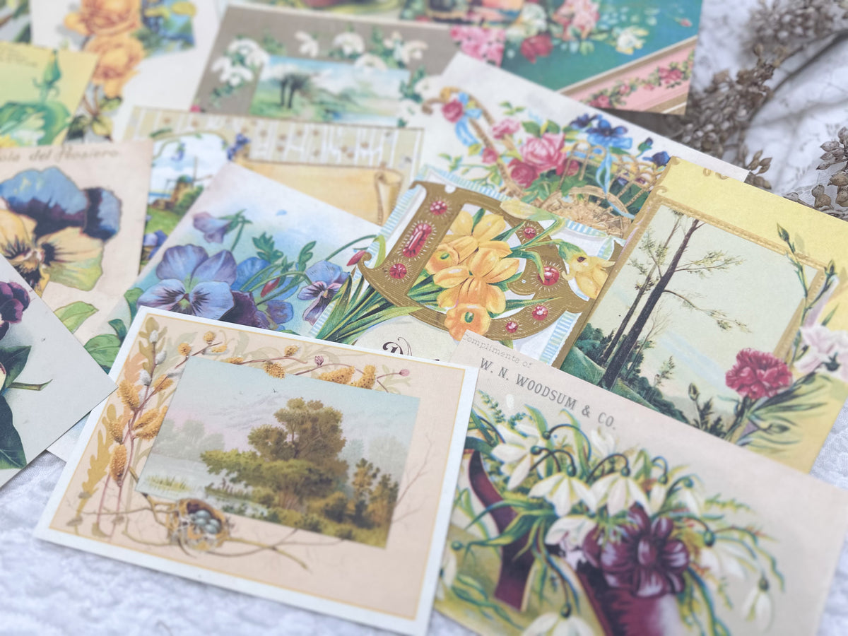 Project Progress Postcards Postcard Project Template- Digital Download – A House of Books