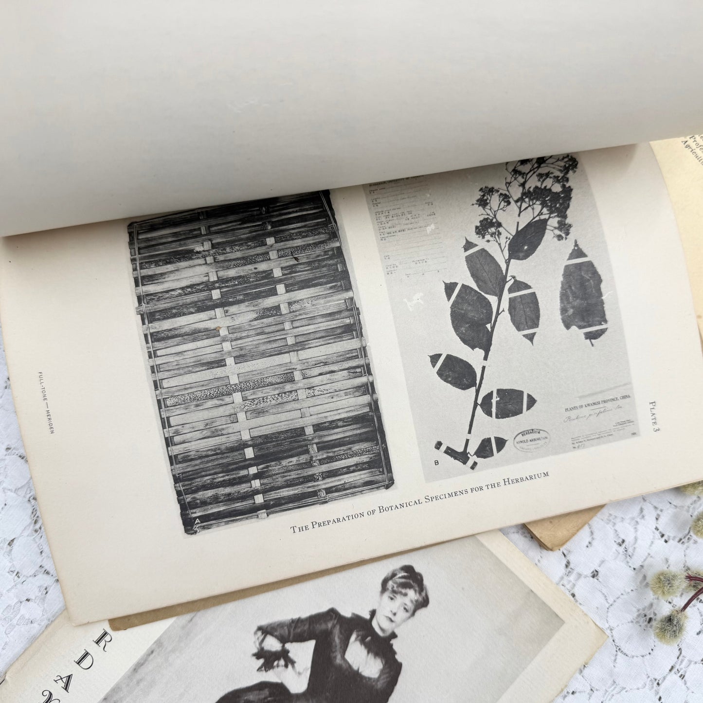 Botany Booklets