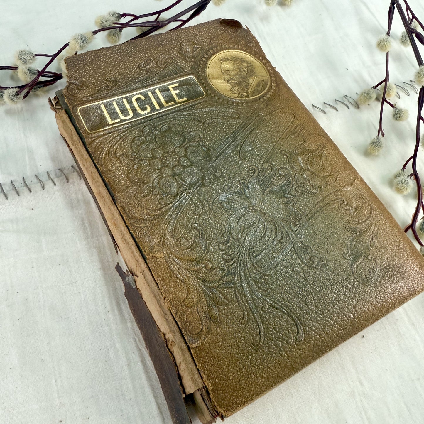 Tattered Lucile Book
