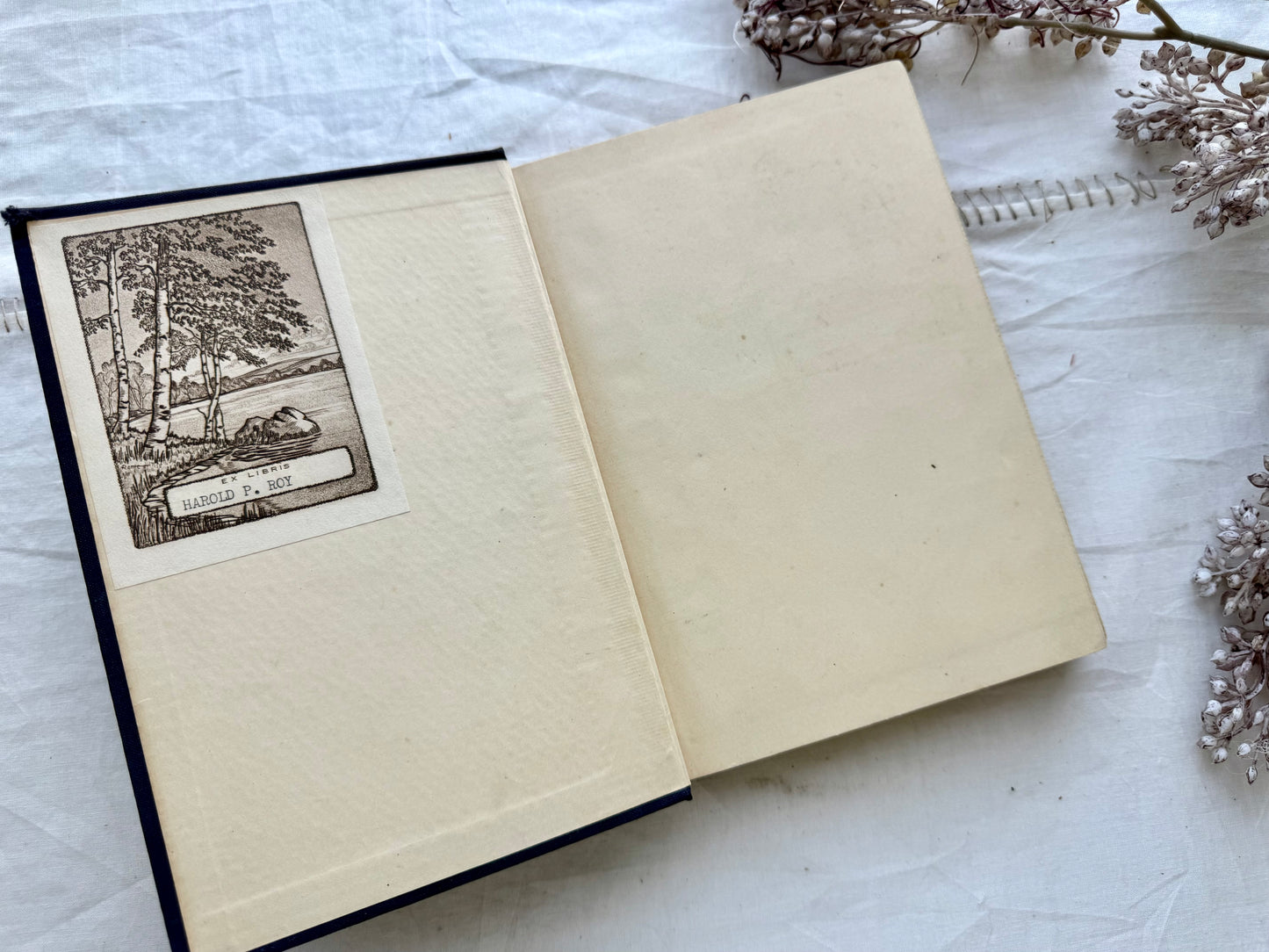 Set of Vintage Old Books