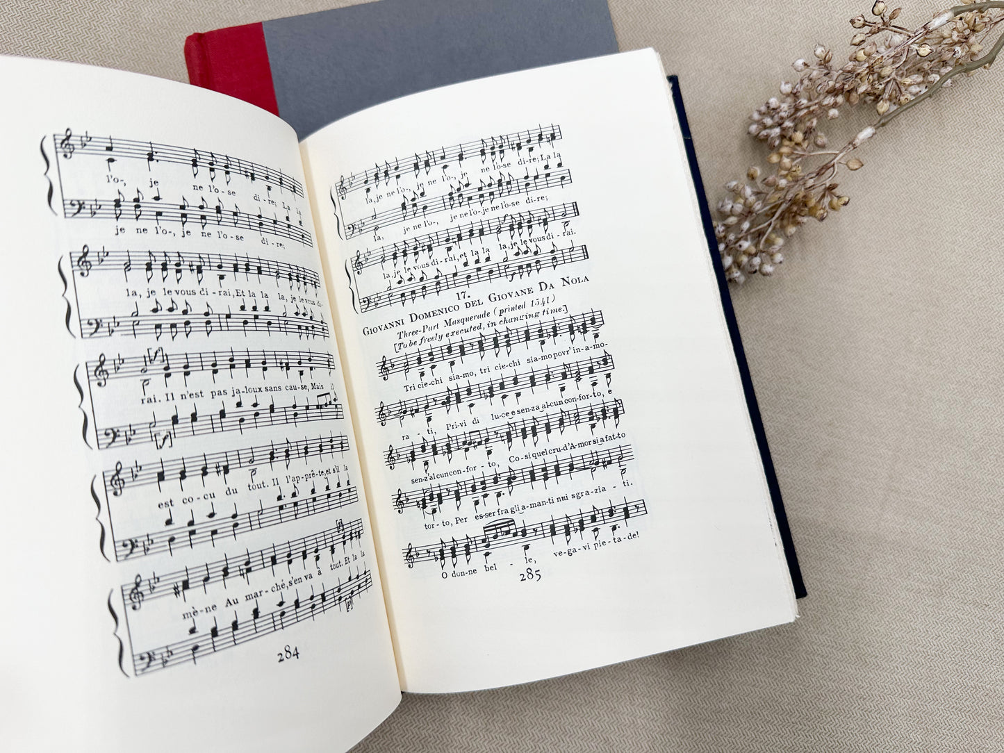Set of Two Music Books