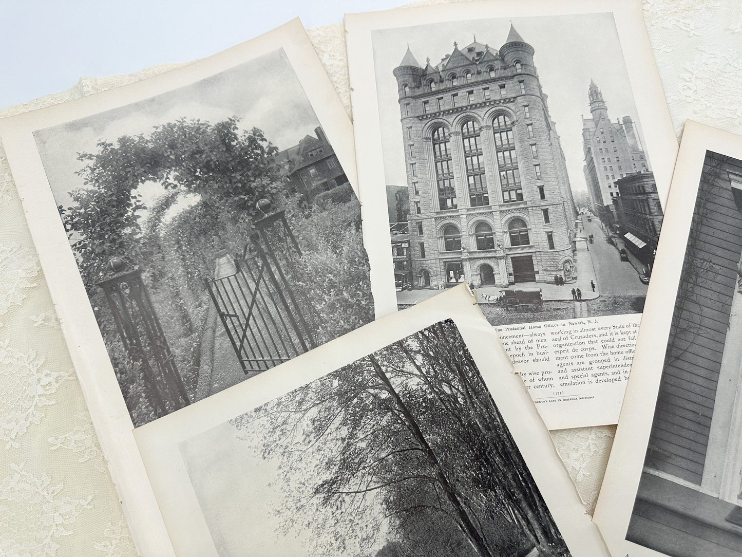 Vintage Image Set