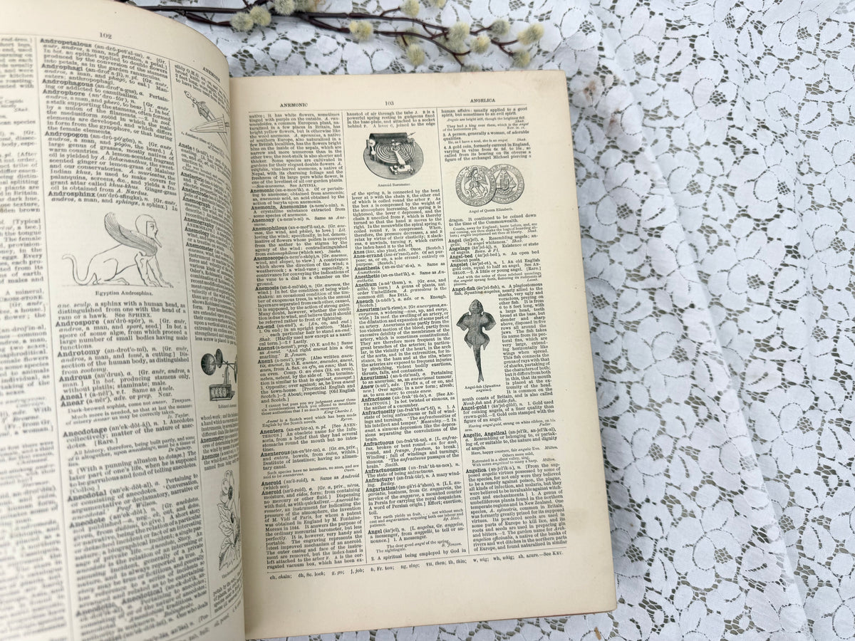 Imperial Dictionary- Illustrated