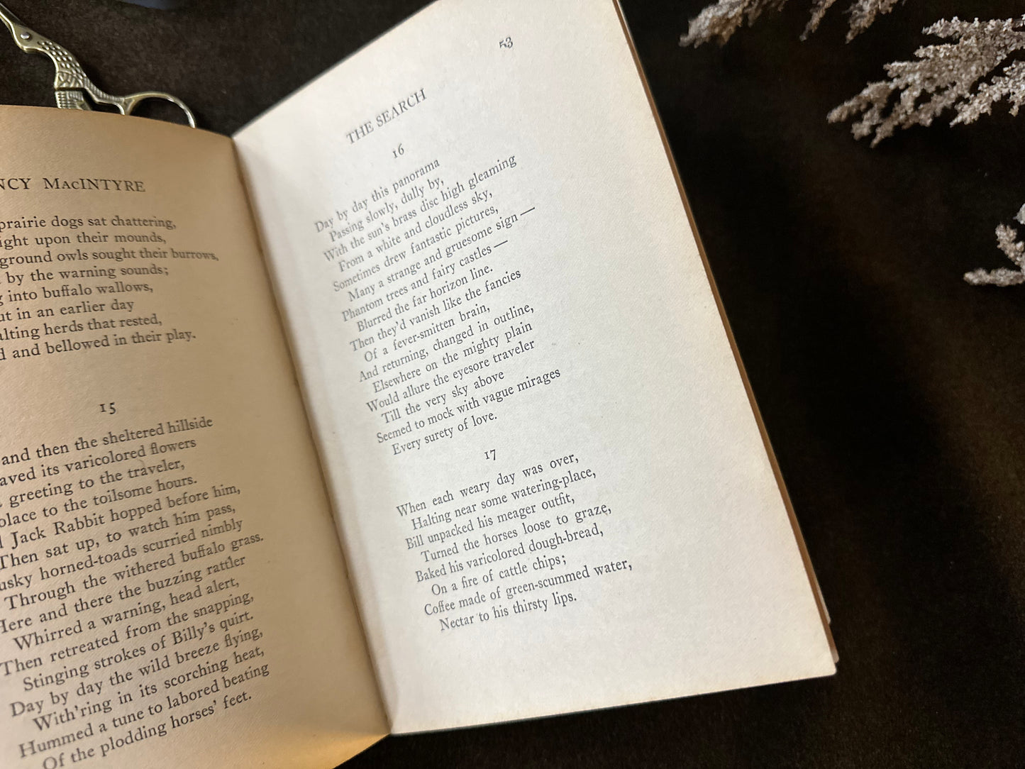 Beautiful Vintage Book
