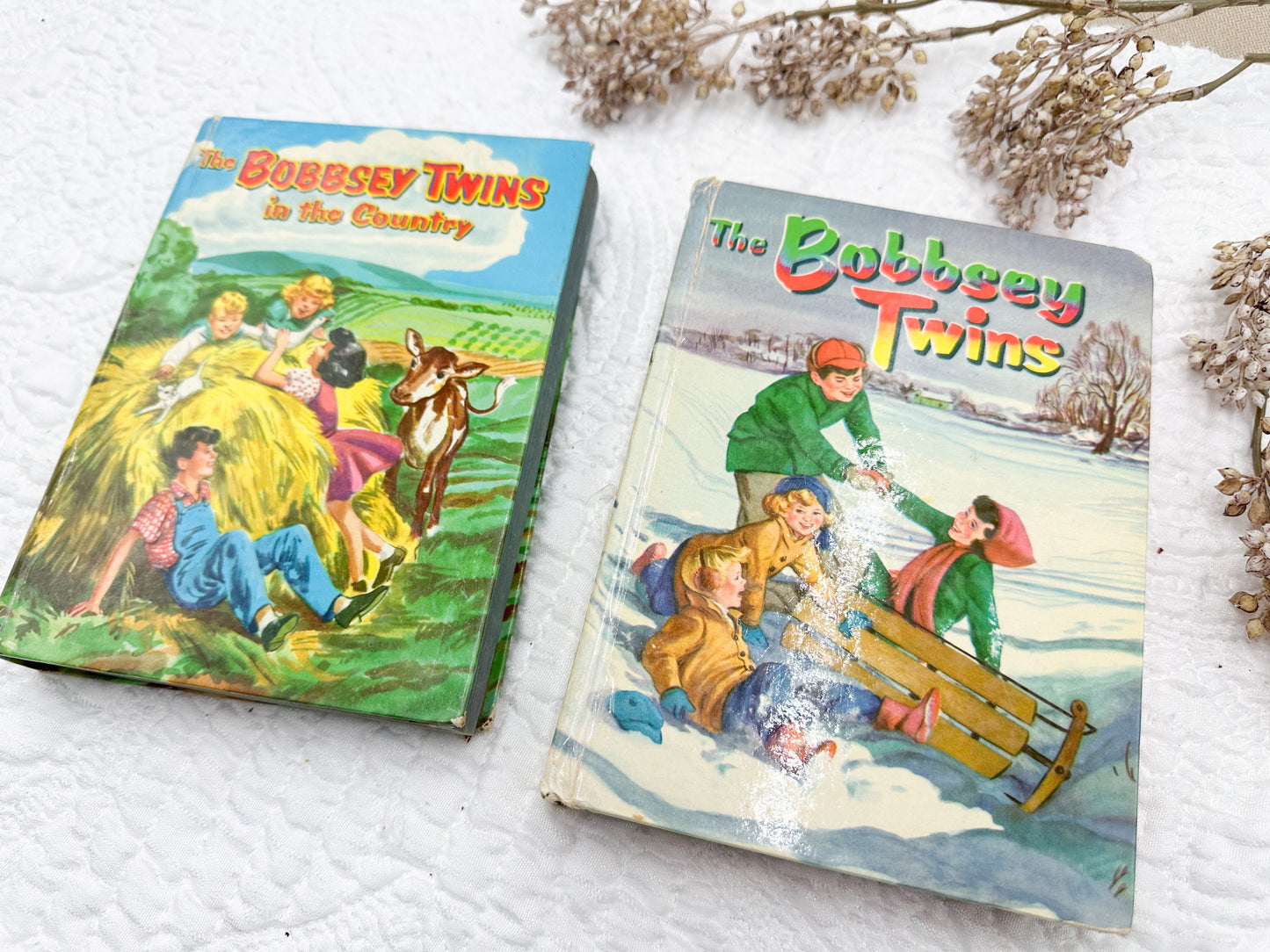 Vintage Bobbsey Twin Books (Set of Two)