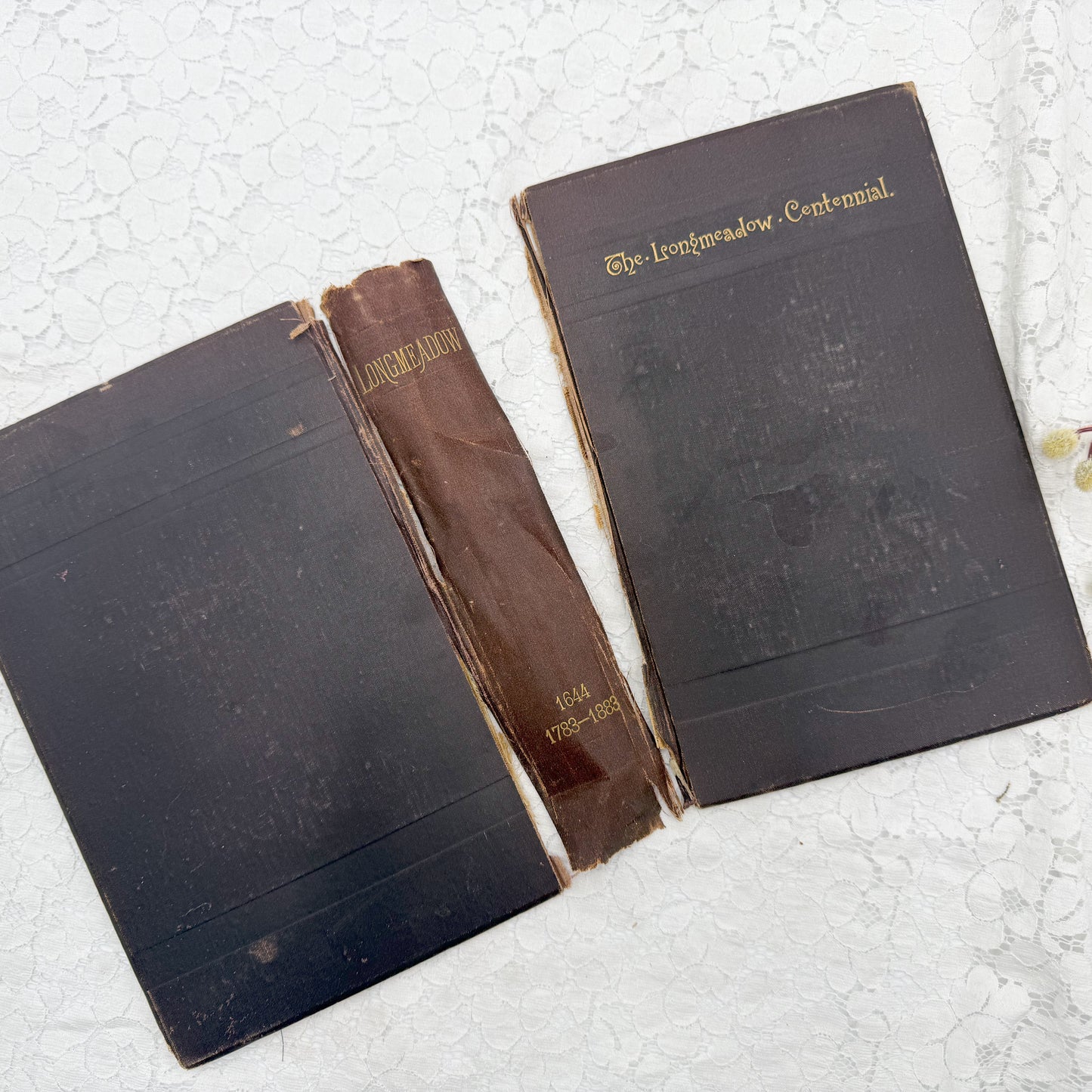 Vintage Book Cover