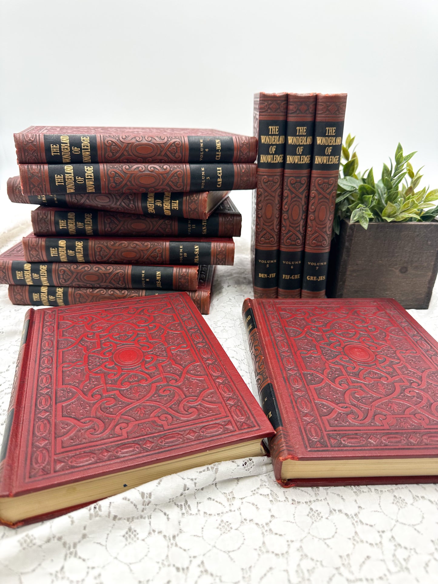 Embossed Book- The Wonderland of Knowledge (12 Available)