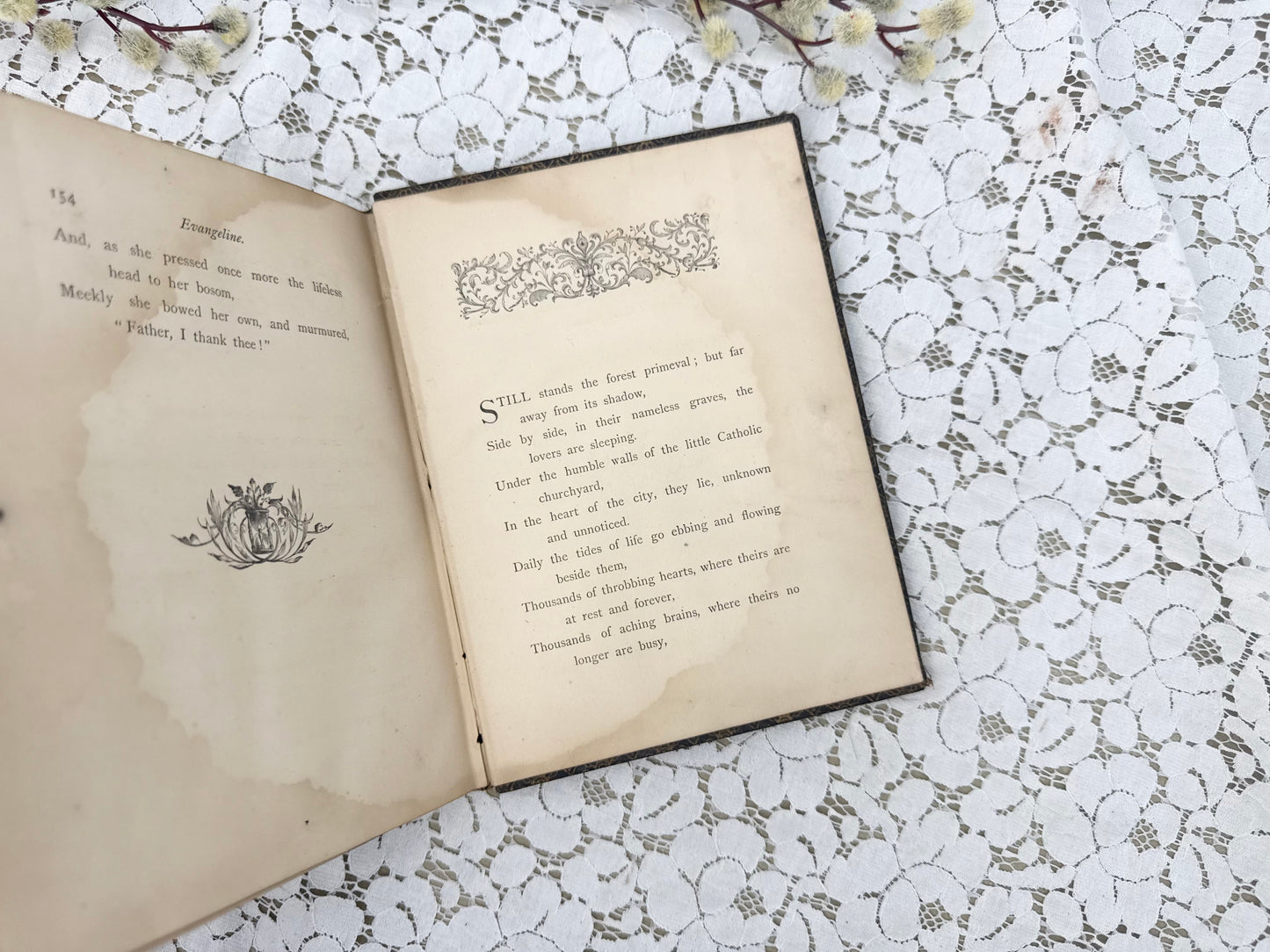 Illustrated Evangeline Book