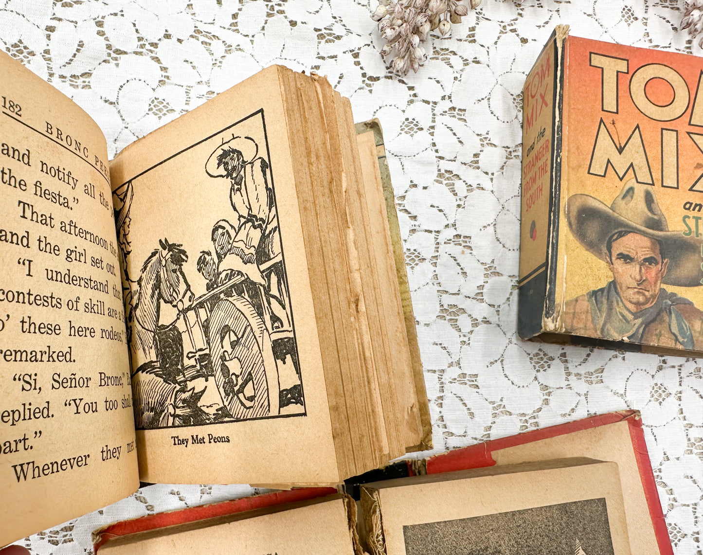 Set of Little Big Books