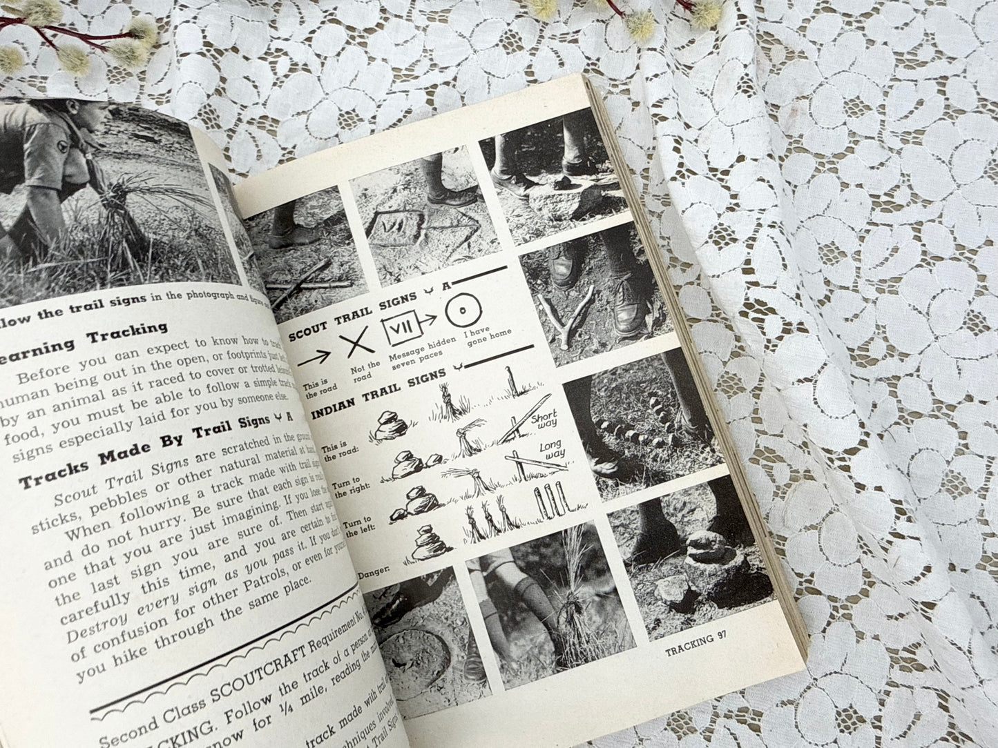 Scout Field Guide