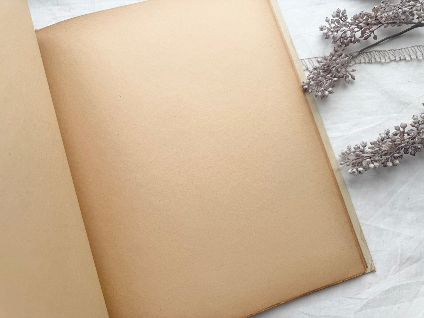 Vintage Scrapbook (Empty Pages)