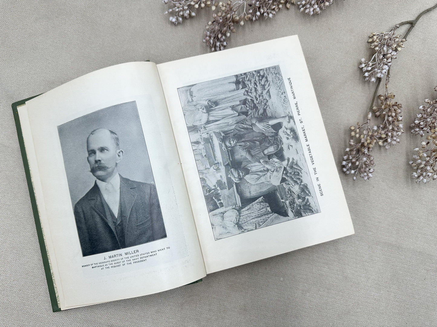 True Story of Martinique on St. Vincent Calamities- 1902