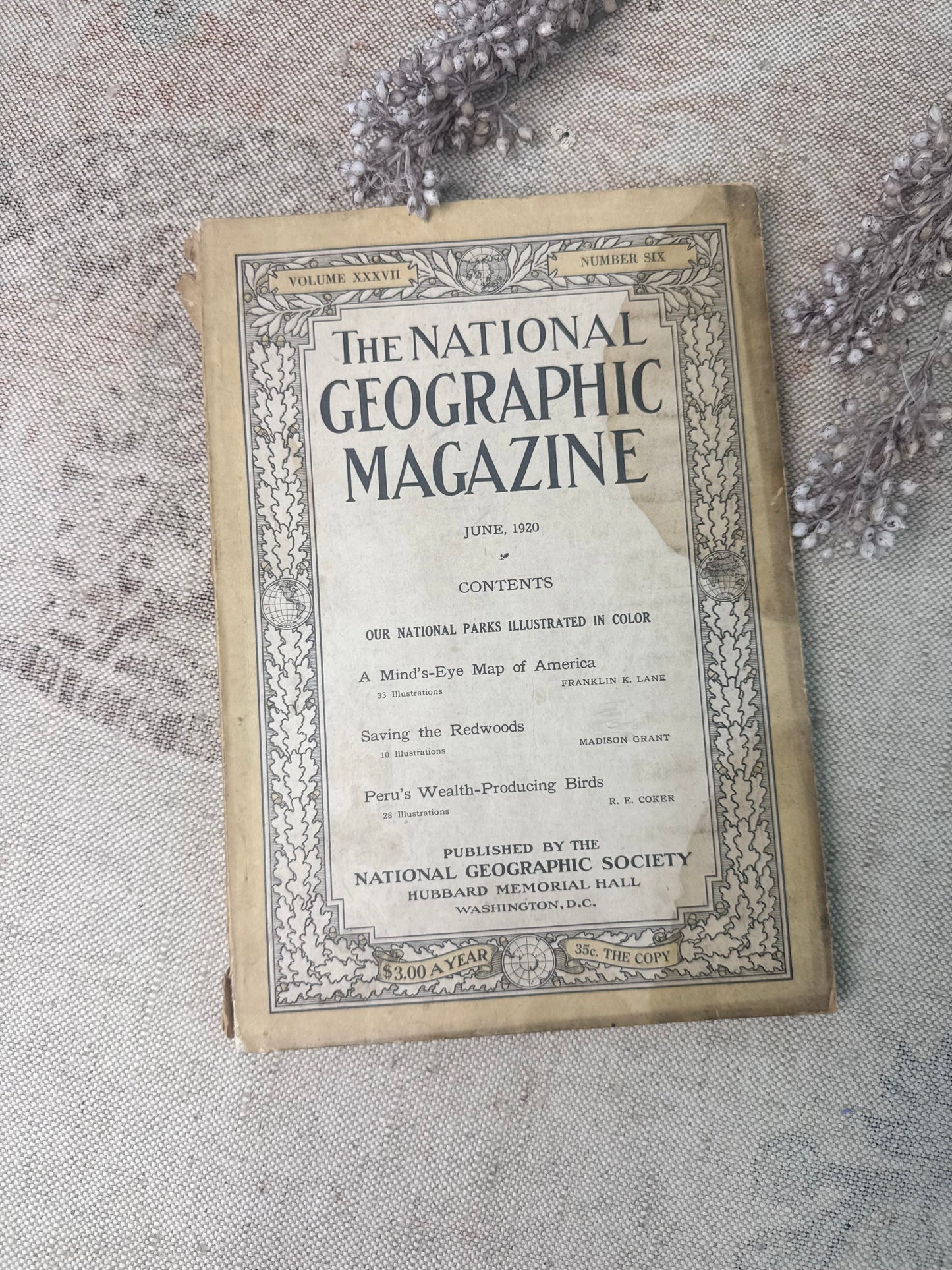 National Geographic Magazine