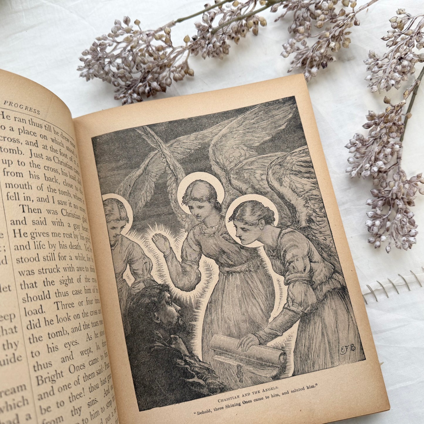 Pilgram's Progress (Illustrated)