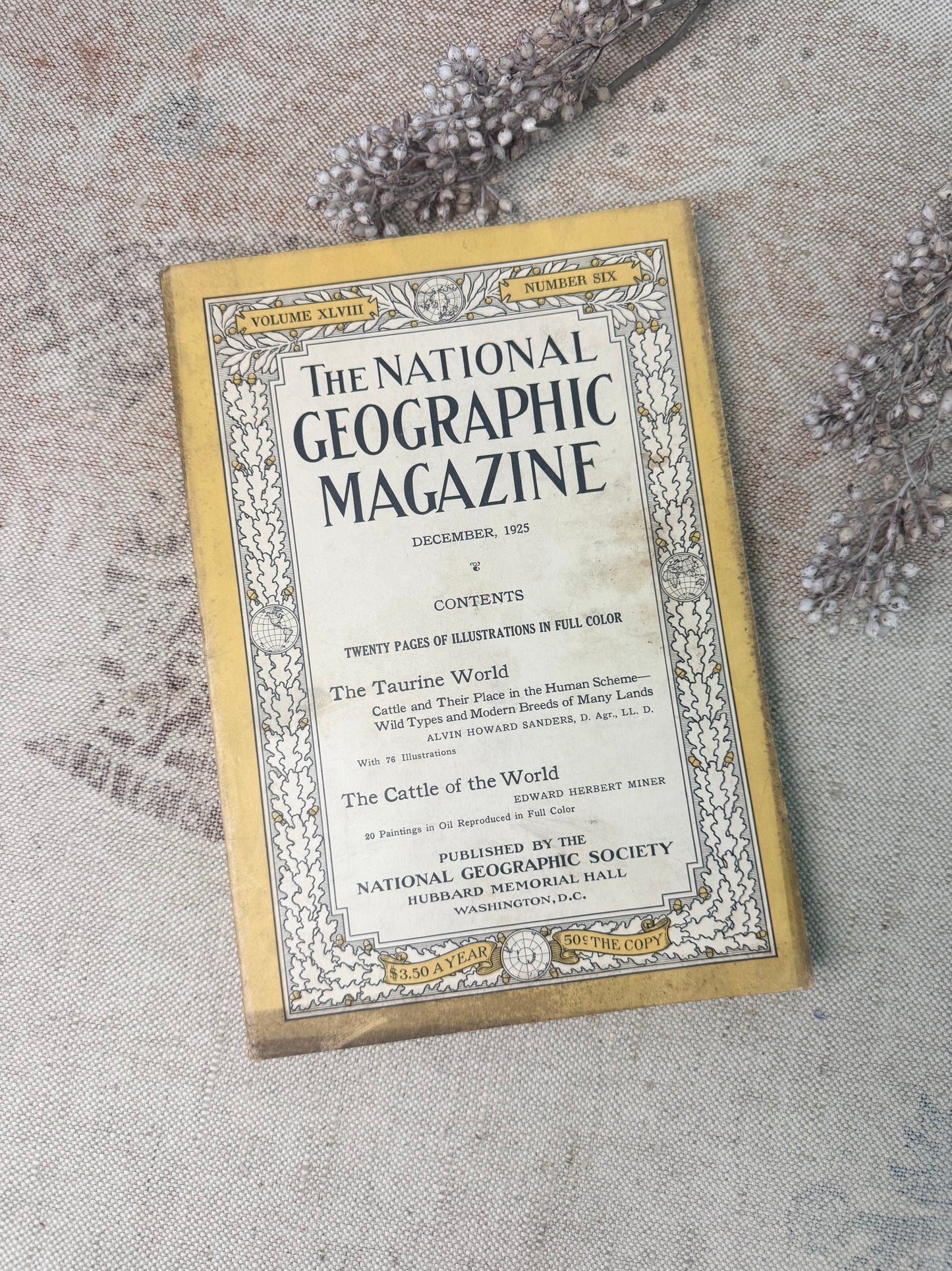 National Geographic Magazine
